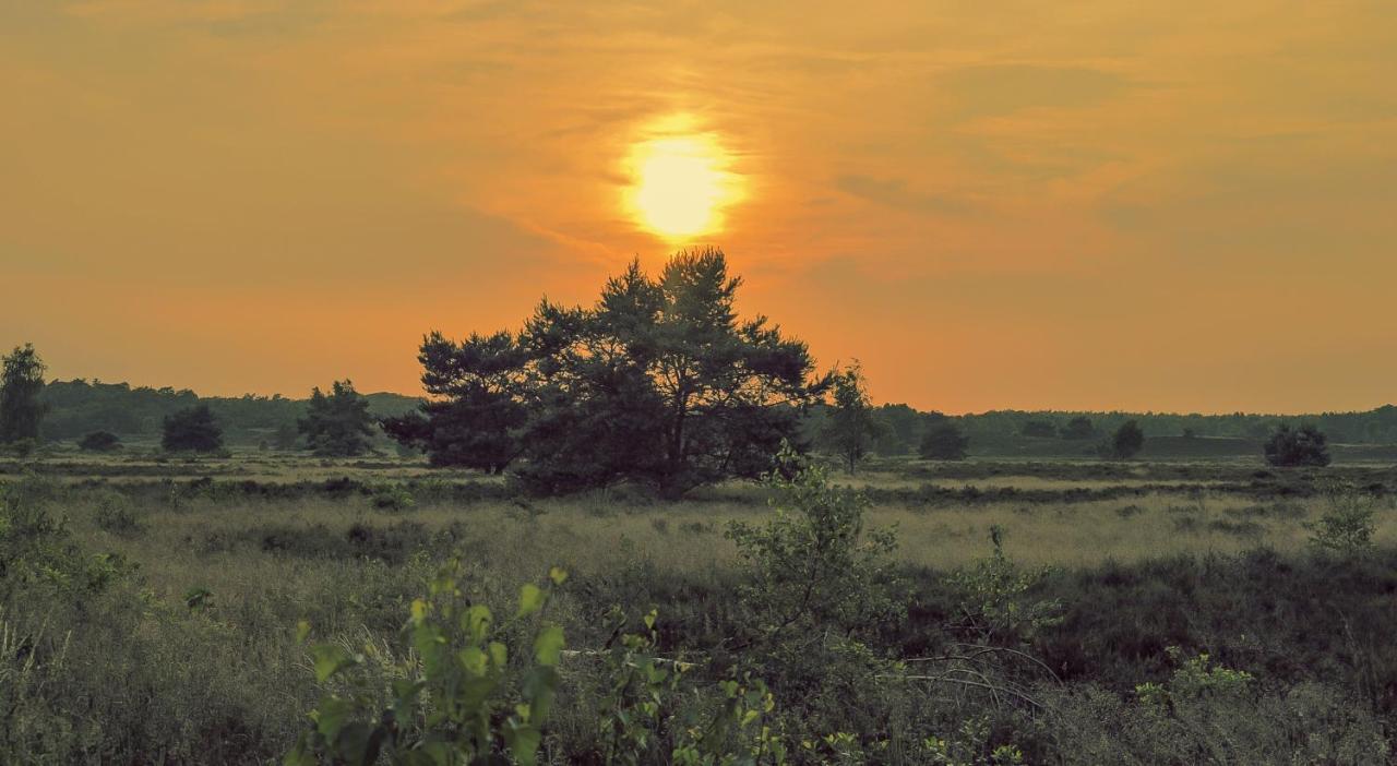 Lodge Koolmees Nunspeet Veluwe Eksteriør bilde
