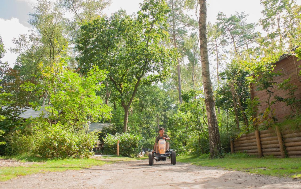 Lodge Koolmees Nunspeet Veluwe Eksteriør bilde